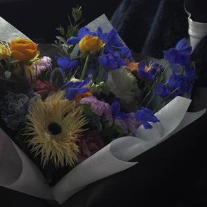 性爱视频网址在线观看高清中文
