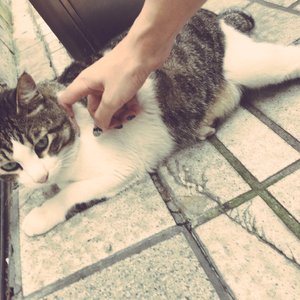 性爱视频网址在线观看高清中文
